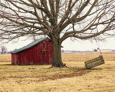 Barn Rustic and tree