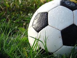 wet soccer ball on the grass