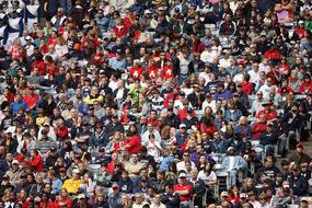 Crowd Sports Fans people