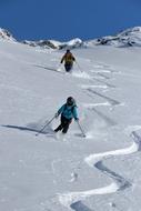 backcountry skiers