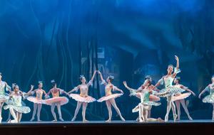 Ballerina Performance