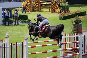 Aachen Equestrian