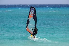 windsurfer on a board in the blue ocean