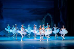 photo of the ballet Swan Lake