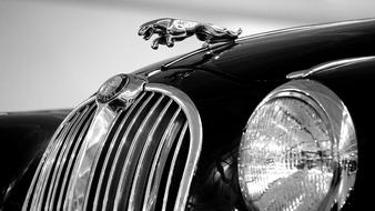 Car Jaguar