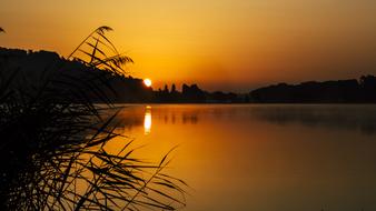morning sun and lake
