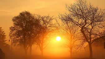 Eifel Sunrise