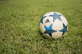 adidas football on Grass