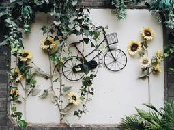 wall decoration with bicycle