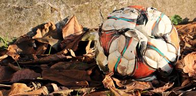 soccer ball lies on dry autumn foliage