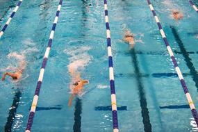 speed Swimming Competition