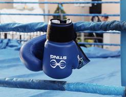 Boxing Gloves blue