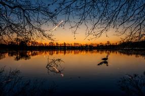 Sunrise Lake nice