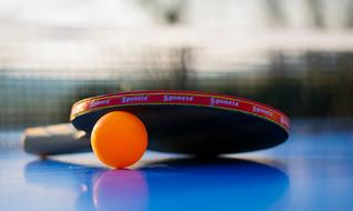 ping pong for leisure