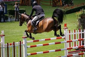 Chio Aachen