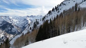 Beautiful, snowy mountains with colorful trees in Utah, USA