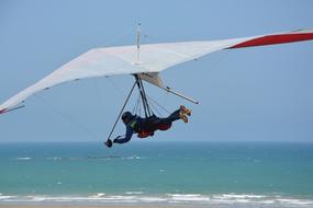 hang glider in free flight over the sea