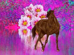 dance sakura horse drawing