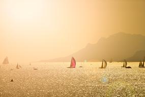 Sailing Boats sunlight