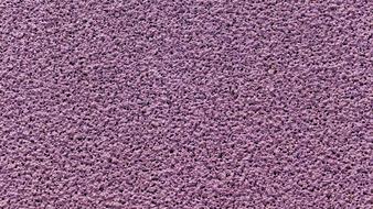 purple sponge texture