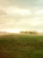 Beautiful and colorful, sunny landscape of the fields, with the trees, at colorful and beautiful sunset, under the clouds