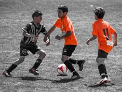squad of small athletes in the stadium