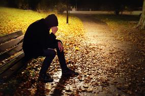 man on the park bench at fall