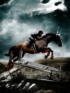 Horse Jump