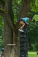 the girl climbed on a pyramid of beer crates