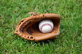 leather glove and baseball on the lawn