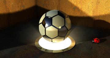 fullerene football and beetle