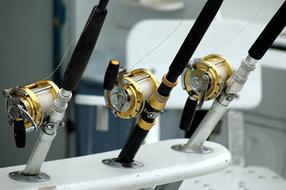 Beautiful fishing rods with the gold fishing reels