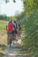 a group of cyclists riding a rural path