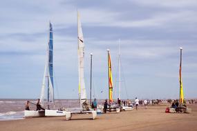 delightful Beach Sea