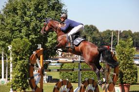 horse rider jumps over an obstacle