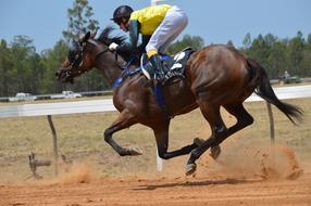 Action Racing as a Sport