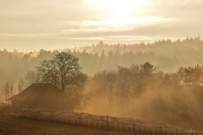 autumn morning haze over the countryside