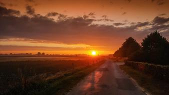 Beautiful road landscape among the colorful fields and trees, at orange and yellow sunrise