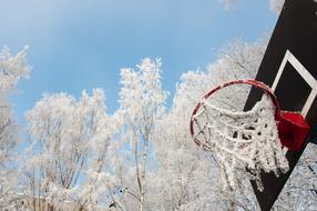 snow and icicles on a basketball hoop