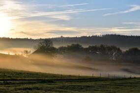 Foggy morning in countryside