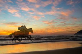 horse racing on the beach at sunset
