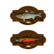 fish trout perch trophy catch