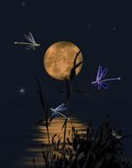 dragonflies and big moon