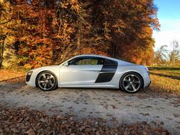 Audi R8 Sport Sports forest