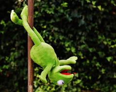 Pole Dance Kermit Funny