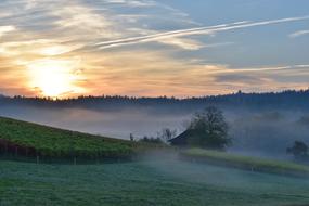 Landscape Fog Morning forest