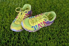 colors Running Shoes on green grass