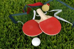 Table Tennis Ping-Pong Bat and ball