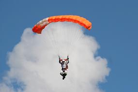 Paraglider Air Sports Leisure on sky