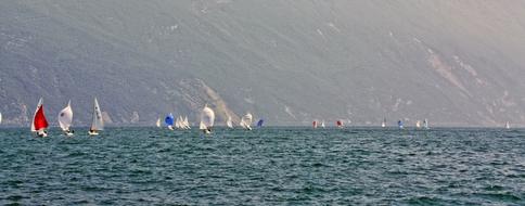 sailing regatta on lake garda